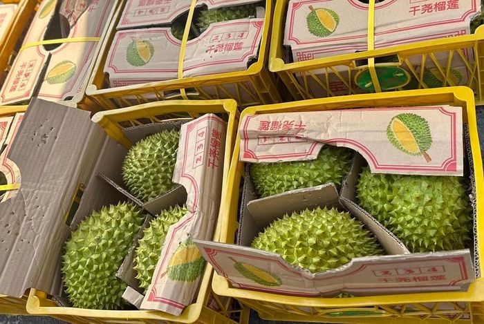 Sầu riêng là mặt hàng nông sản xuất khẩu mang về kim ngạch tỷ đô trong 10 tháng năm 2023. Ảnh minh họa