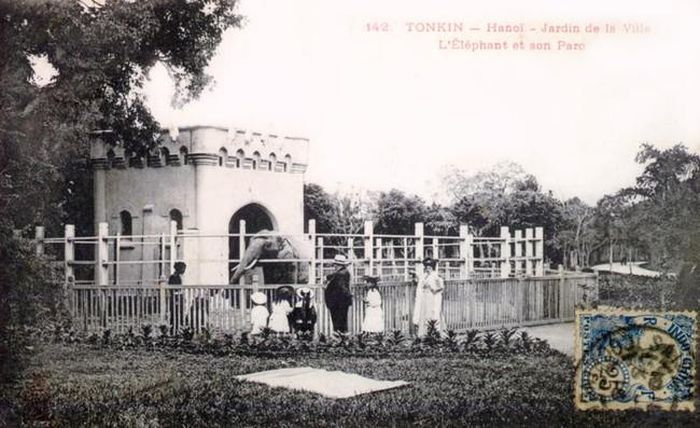 Chuồng voi