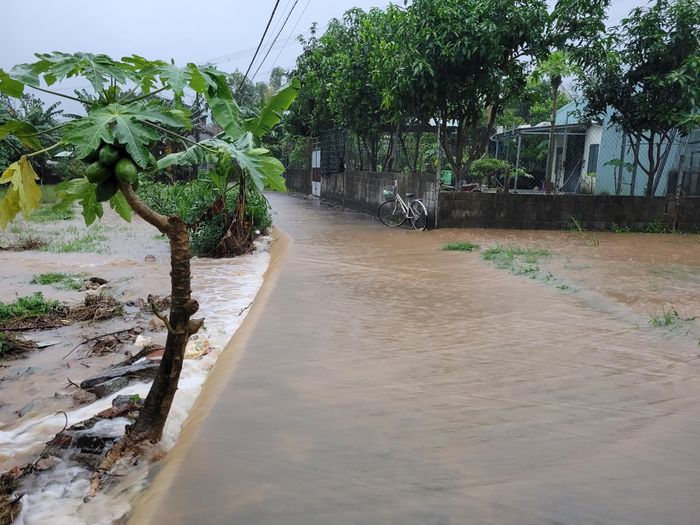 Tuyến đường bê tông bị nước chia cắt.