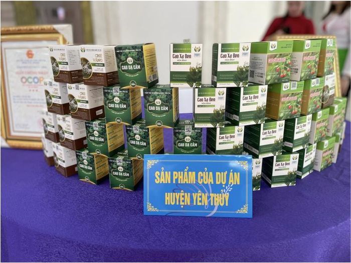 Sản phẩm Cao Xạ đen của huyện Yên Thủy phục vụ thị trường trong nước và xuất khẩu. Ảnh: Cổng TTĐT Hòa Bình