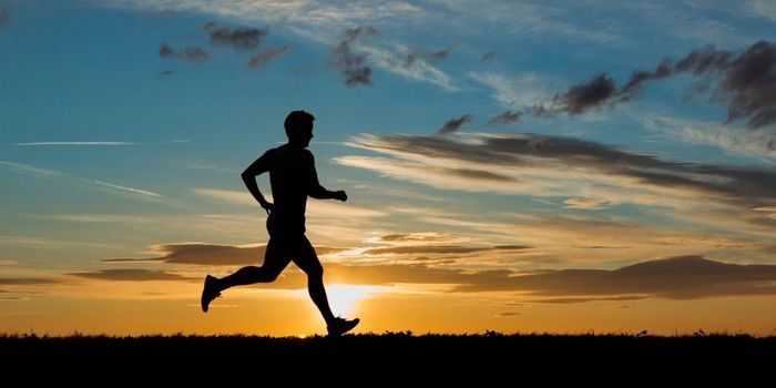 Tập luyện quá sớm không đem lại lợi ích như các thời điểm khác trong ngày. Ảnh minh họa: Pmcgregor