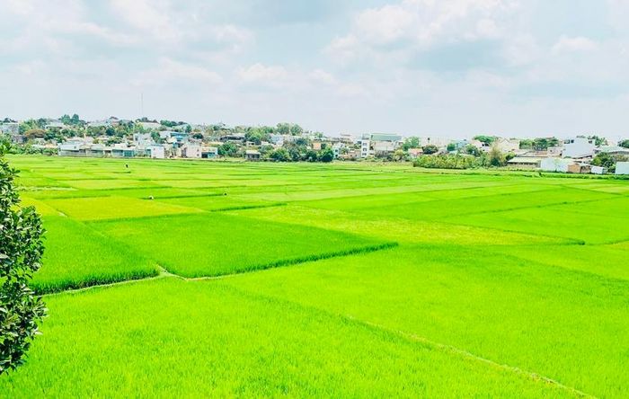 Theo người xưa thì nơi đây từng là một trong những miệng núi lửa đã lụi tàn tạo nên vùng thung lũng phì nhiêu, làm ra lúa gạo nuôi sống biết bao thế hệ người Pleiku.