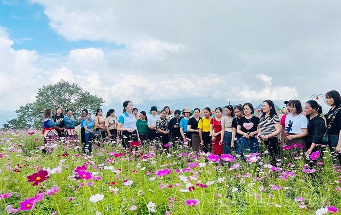  Tham quan mô hình kinh tế do phụ nữ làm chủ tại huyện Si Ma Cai. 
