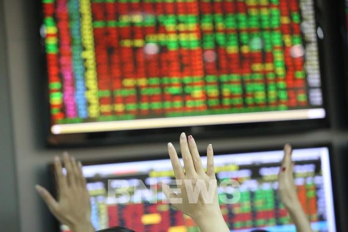 Chứng khoán chìm trong sắc đỏ phiên sáng 23/11. Ảnh: BNEWS/TTXVN