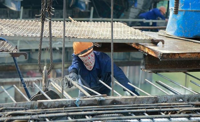  Mọi công việc được thực hiện tỉ mỉ để công trình đảm bảo cả tiến độ và chất lượng. 