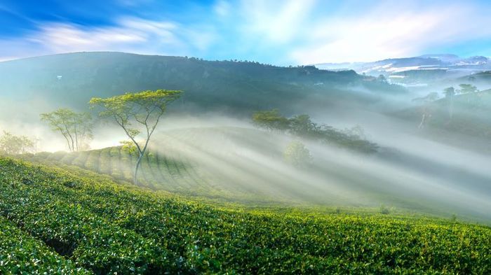 Thành phố nằm giữa thung lũng này vẫn còn giữ được những dấu tích đậm đà của một vùng thiên nhiên với khí hậu mát mẻ.