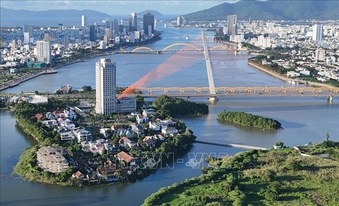 Khu vực sinh sống của đàn cò giữa lòng thành phố Đà Nẵng nhìn trên cao.