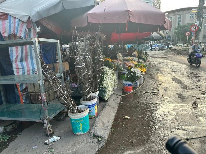 Mỗi cành hoa đào, hoa lê có giá từ vài trăm đến hàng triệu đồng.