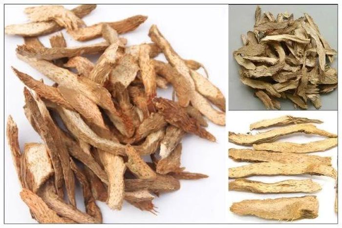 Thiên niên kiện cùng với sâm cau và các vị thuốc khác chữa phong thấp.