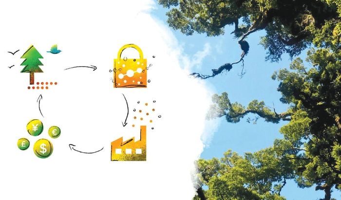  Cần thông qua thị trường chuyển nhượng quyền carbon để điều chỉnh lợi ích. Ảnh: Internet 