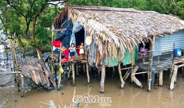 Triều cường là một trong những nguyên nhân khiến tình trạng sạt lở ven biển ngày một nghiêm trọng, thiệt hại lớn về sản và đời sống của người dân. (Ảnh chụp tại cửa biển Cái Ðôi Vàm, huyện Phú Tân).