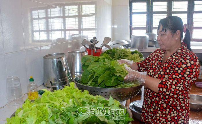 Thực phẩm được bộ phận nhà ăn chuẩn bị là thực phẩm tươi sống và được rửa cẩn thận, sạch sẽ.