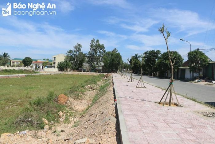 Hạ tầng Khu đấu giá khai thác quỹ đất tại xóm Xuân Hoa, xã Nghi Đức (TP. Vinh) vừa được đưa ra đấu giá thành công khi bán được 25/33 lô. Ảnh: Nguyễn Hải