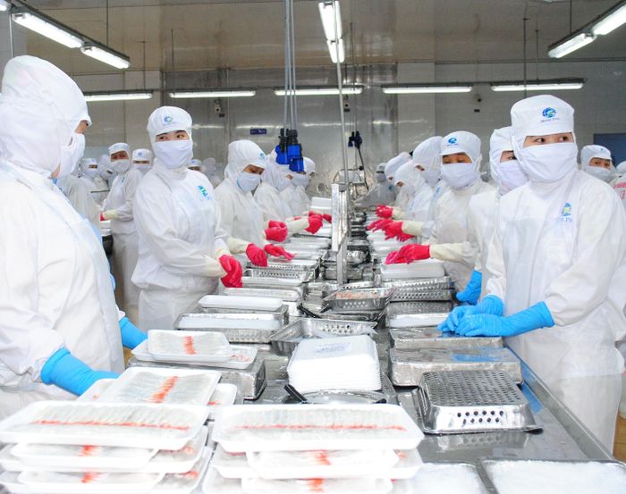  Tổng kim ngạch xuất khẩu (chủ yếu là tôm) của tỉnh Cà Mau năm 2023 đạt 1,2 tỷ USD 