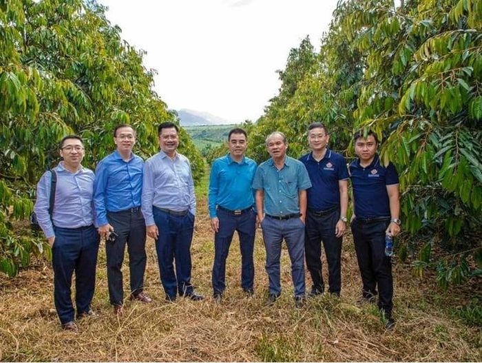 Ông Hồ Nam Tiến, Tổng Giám đốc LBBank (thứ 4 từ trái sang) dẫn đầu đoàn lãnh đạo ngân hàng LPBank thăm trang trại sầu riêng của HAGL tại Lào.