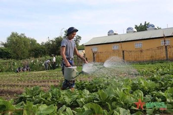 Năm 2023, Tiểu đoàn 563 thu hoạch được 43.600kg rau xanh các loại, đạt 156,4% kế hoạch.