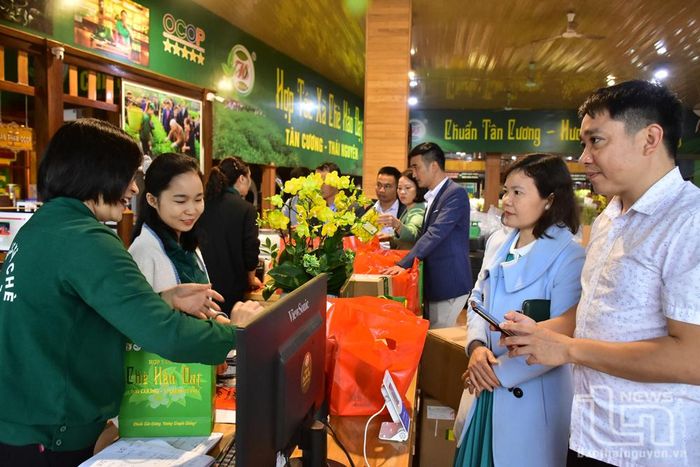 Khách tham quan, tìm hiều về văn hóa trà tại không gian giới thiệu sản phẩm của HTX Chè Hảo Đạt.