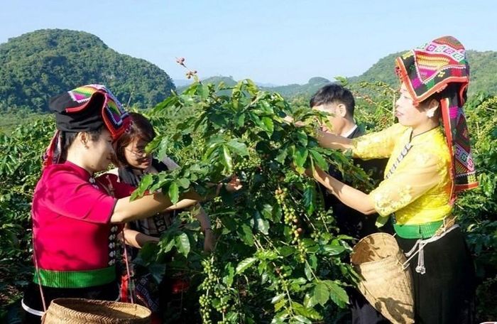 Nhờ làm tốt công tác chăm lo phát triển kinh tế vùng đồng bào dân tộc thiểu số, cuộc sống của người dân ngày càng được nâng lên.