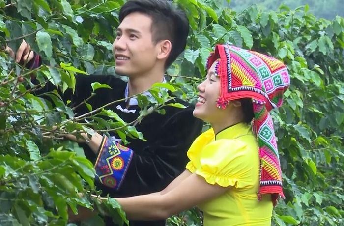 Người dân huyện Mai Sơn tích cực phát triển kinh tế.