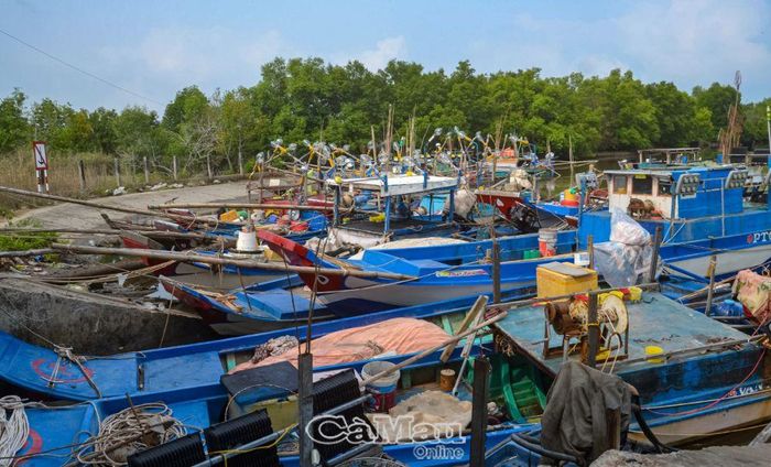 Hiện nay, trên địa bàn tỉnh còn số lượng lớn phương tiện thủy nội địa hoạt động khai thác thủy sản ven bờ, gây khó khăn cho công tác quản lý, kiểm soát.