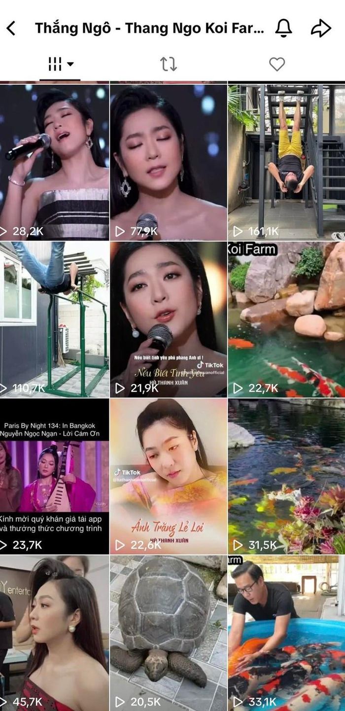'Vua cá Koi' Thắng Ngô giữ lại rất nhiều đoạn clip biểu diễn của vợ cũ Hà Thanh Xuân. 
