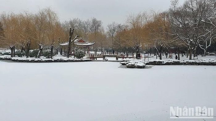 Mặt hồ trong công viên Nhật Đàn đóng băng với lớp tuyết phủ bên trên.