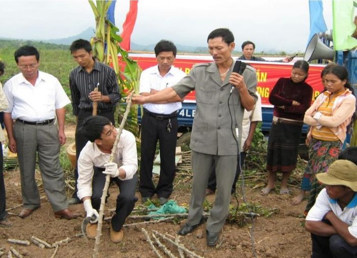 Cán bộ hướng dẫn người dân cách trồng cây sắn theo phương cách mới. Ảnh: Tiêu Dao