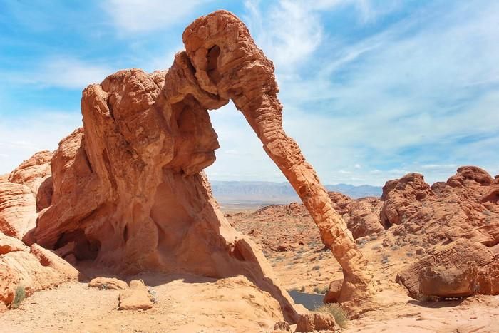 Hàng triệu năm trước, Công viên Thung lũng lửa (Valley of Fire) chìm dưới biển, còn bây giờ nó là một biển đá. Và một trong những khối đá thú vị nhất nằm ngay cạnh lối vào phía đông của công viên là một tảng đá có hình dạng giống một con voi khổng lồ.