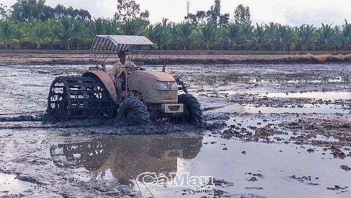 Gia đình bà Trần Thị Anh, ấp Rạch Ruộng C, xã Khánh Lộc, làm đất, chuẩn bị xuống giống.