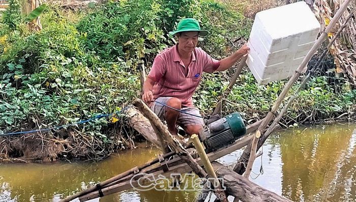Ông Trần Thanh Dân bơm nước chuẩn bị xuống giống.