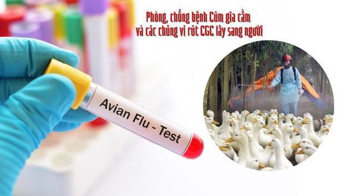 Nếu nghi ngờ mình mắc các loại virus cúm nguy hiểm như H5N1, H1N1, H7N9… hay có các triệu chứng cúm trở nặng cần đi khám ngay.