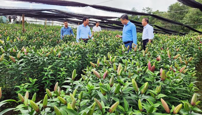  Phát triển nông nghiệp ứng dụng một phần công nghệ cao góp phần tạo đột phá trong sản xuất nông nghiệp của Bát Xát. 