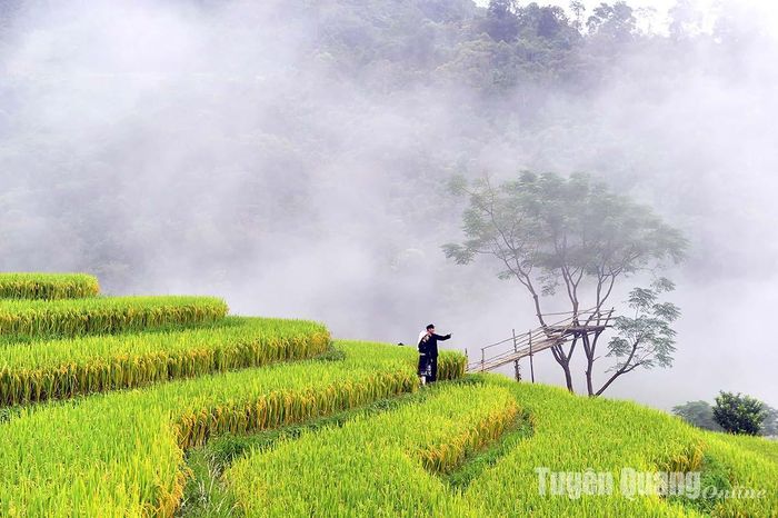 Điểm Check - in ruộng bậc thang cho du khách ở Nà Mụ.
