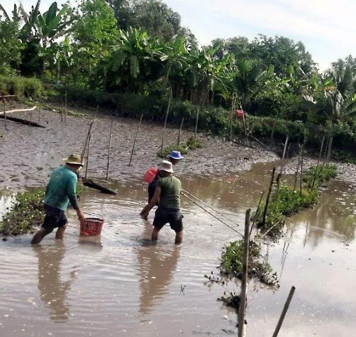 Xiệt cá bằng điện không chỉ làm tận diệt thủy sản mà còn nguy hiểm đến tính mạng của người dân. Ảnh: HUỲNH DU