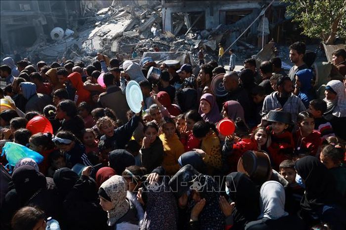Người tị nạn Palestine chen chúc nhận thức ăn cứu trợ tại Dải Gaza ngày 30/10/2023. Ảnh: AFP/TTXVN