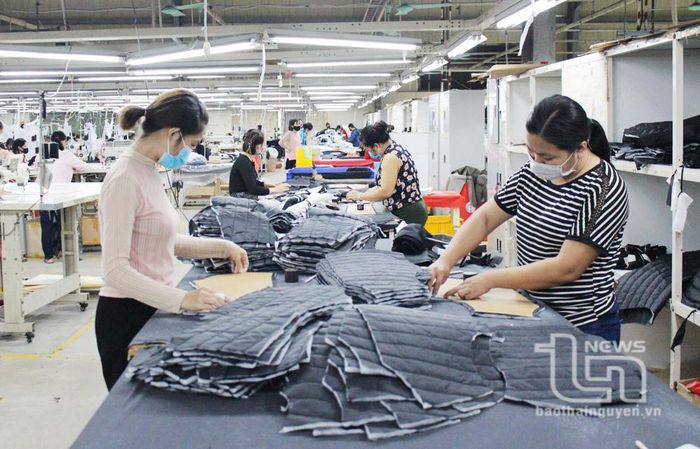 Sản xuất hàng may mặc xuất khẩu tại Công ty TNHH SHINTS - BTV (thị trấn Đu, huyện Phú Lương). Ảnh: P.T