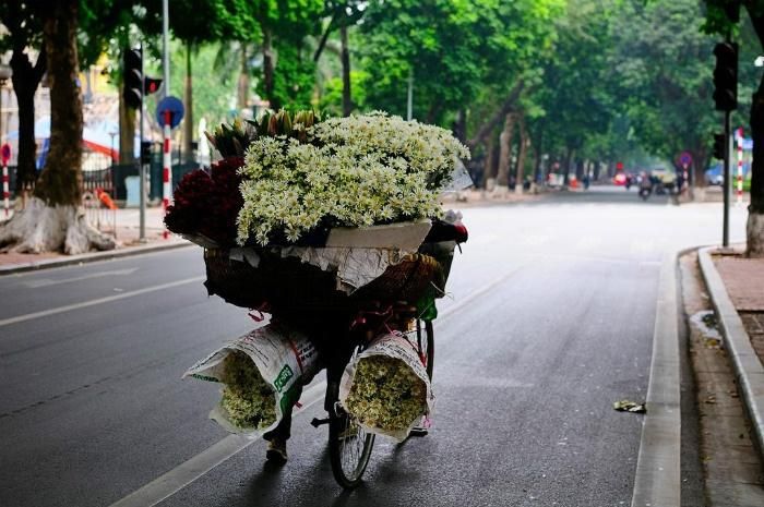 Mùa đông Hà Nội khiến con người ta cảm nhận rõ sự yên bình và hòa mình vào không khí thiên nhiên