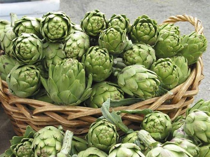 Lượng protein có trong hoa atisô cao hơn nhiều so với các loại rau khác.
