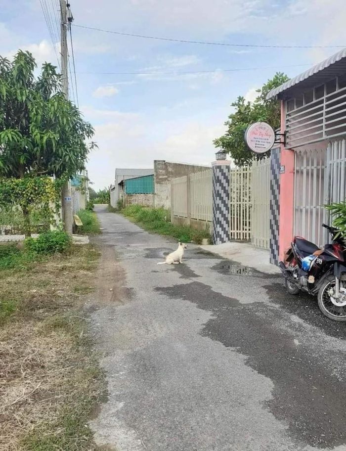 Nhiều hộ dân đồng bào DTTS ở xã Lương Hòa, huyện Châu Thành đã làm được nhà ở từ vốn vay của Ngân hàng chính sách huyện.