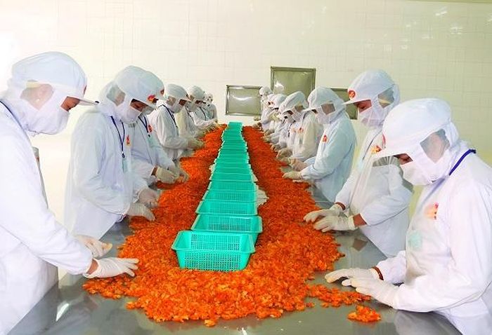 Có hơn 50 cơ sở chế biến tôm khô với quy lớn tại Cà Mau