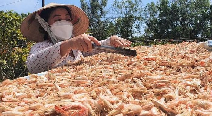 Tôm khô được phơi theo kiểu truyền thống