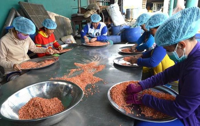 Tôm khô là một đặc sản truyền thống của vùng sông nước Cà Mau