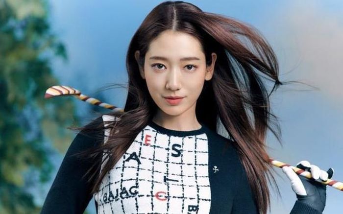 Park Shin Hye
