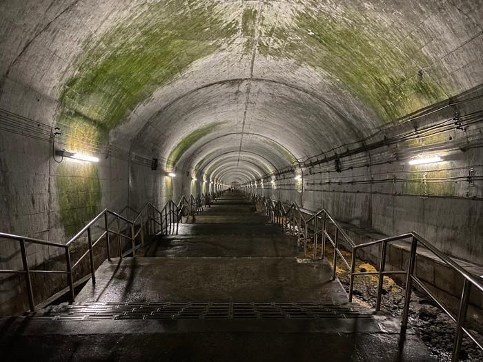 Hoạt động như một phần của tuyến Joetsu kết nối khu vực tỉnh Niigata với Tokyo, Doai Station mở cửa vào tháng 12 năm 1936 với hai sân ga phục vụ một số chuyến tàu hoạt động hàng ngày. Trong một cuộc điều tra gần đây, người ta phát hiện ra rằng nhà ga vẫn thu hút khoảng 22 hành khách mỗi ngày tính đến năm 2011.