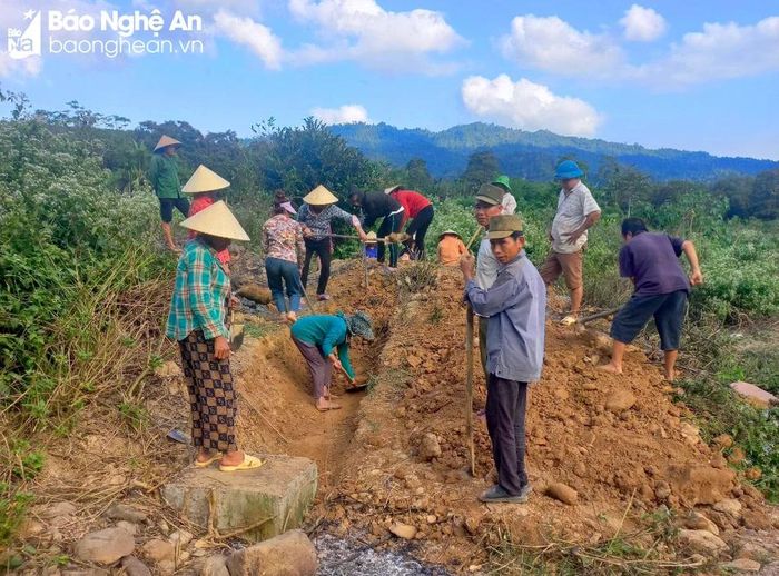  Người dân huyện Quỳ Châu hợp thành tổ đội hỗ trợ nhau làm đất. Ảnh: Quang An 