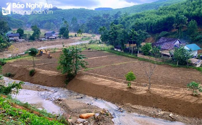  Những cánh đồng tại huyện Quỳ Châu từng bước được san gạt để sản xuất. Ảnh: Quang An 