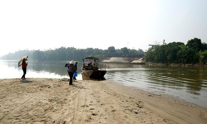 Ngày bốn lượt, người lao động đi về bãi bồi.