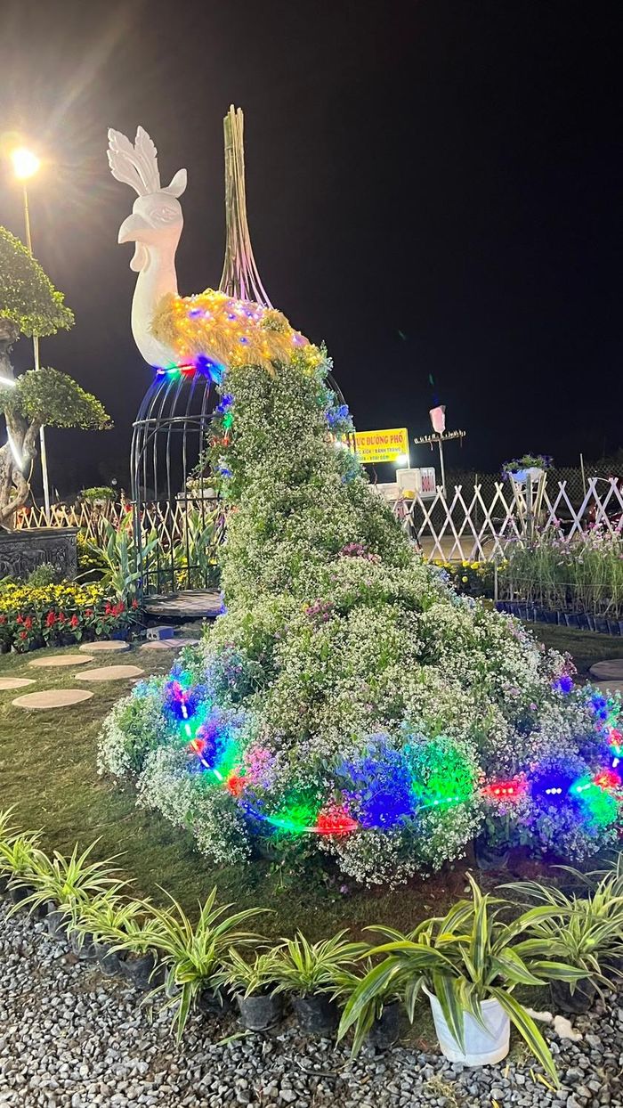 Chim công được trang trí bằng hoa thạch thảo. Ảnh: NVCC