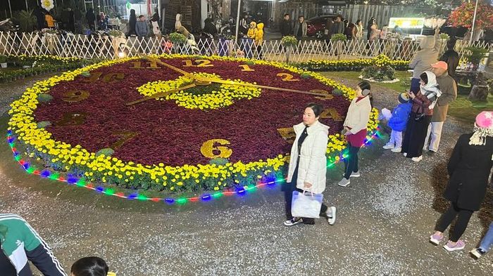 Dịp Noel, Tết dương lịch Lễ hội hoa Xuân Quan 2023 hứa hẹn là chốn vui chơi lý tưởng cho những người yêu hoa, yêu cây, yêu cái đẹp. Ảnh: NVCC