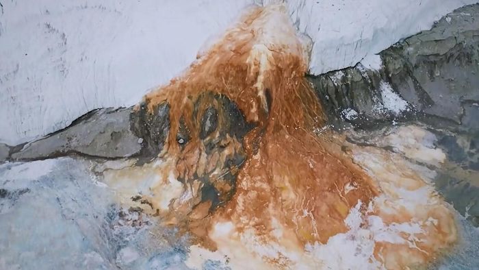 Nhiệt độ nước trung bình của thác máu Nam Cực luôn ở mức -17 độ C, độ mặn cao gấp 2-3 lần so với nước biển thông thường nên không thể đóng băng